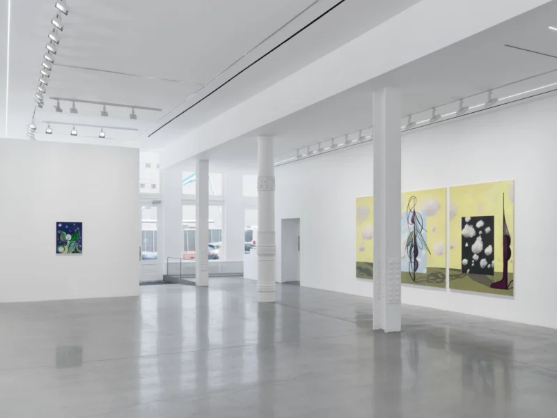 Installation shot from Farah Atassi: Metamorphosis, @ Almine Rech