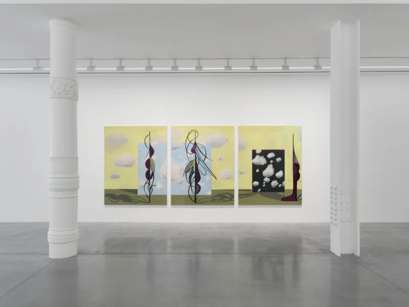 Installation shot from Farah Atassi: Metamorphosis, @ Almine Rech