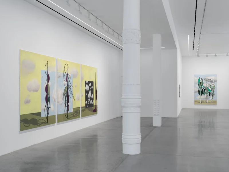 Installation shot from Farah Atassi: Metamorphosis, @ Almine Rech