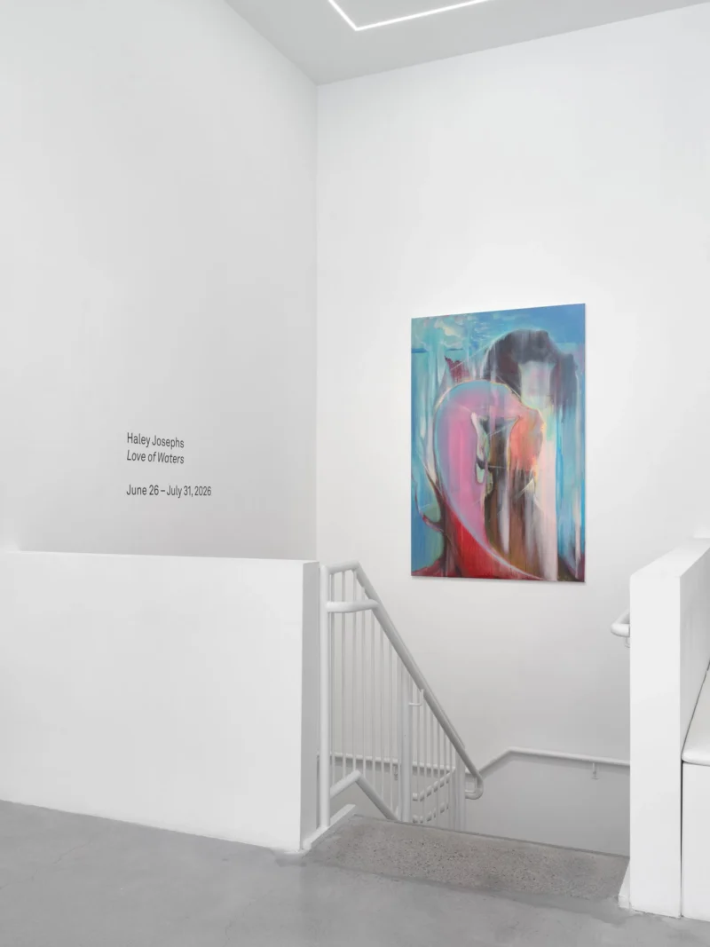 Installation shot from Haley Josephs: Love of Waters, @ Almine Rech