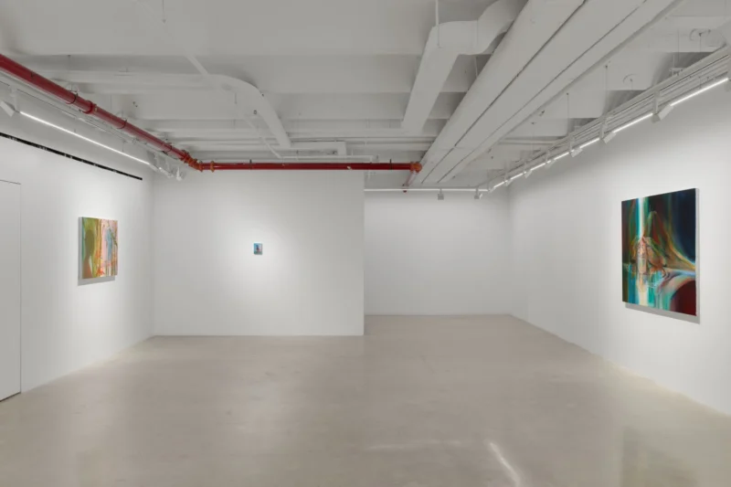 Installation shot from Haley Josephs: Love of Waters, @ Almine Rech