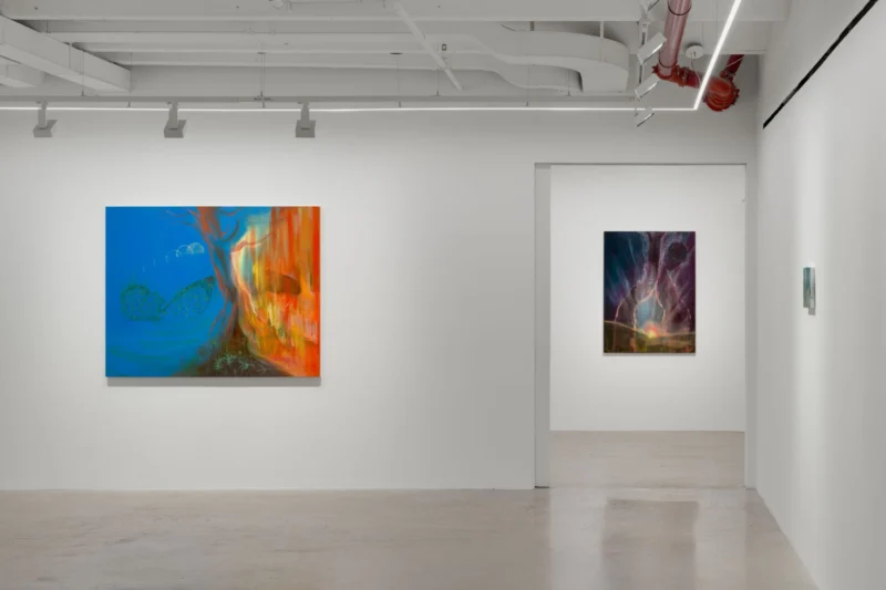 Installation shot from Haley Josephs: Love of Waters, @ Almine Rech