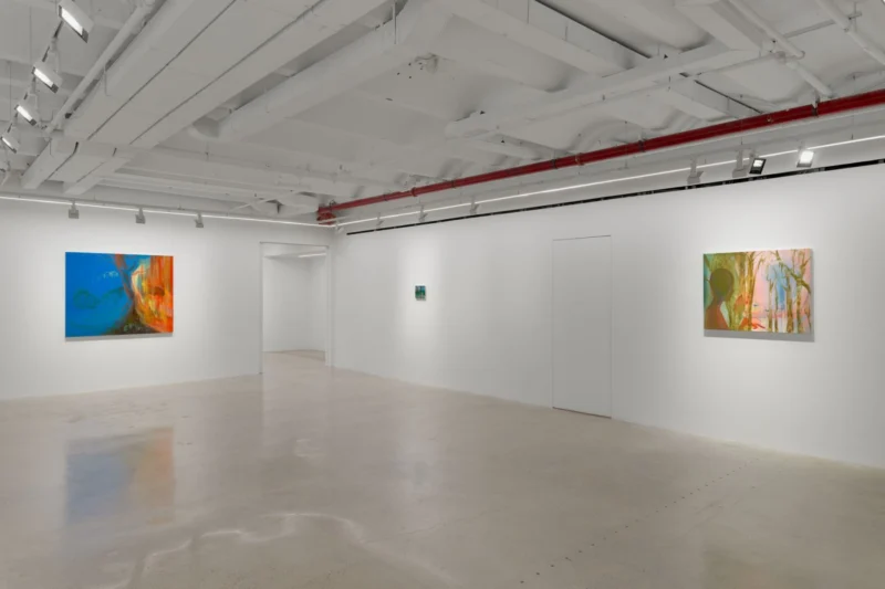 Installation shot from Haley Josephs: Love of Waters, @ Almine Rech