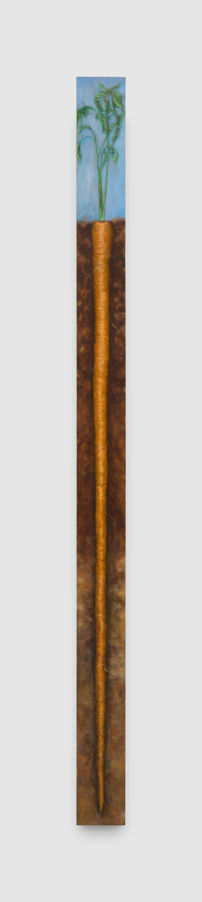 Amedeo Polazzo, Self Portrait as Carrot, 2026