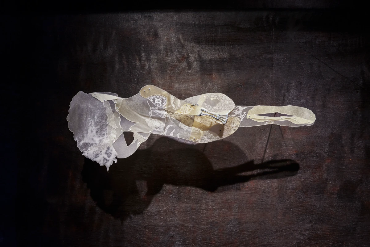 Andrea Marcellier, Nudes I, 2026