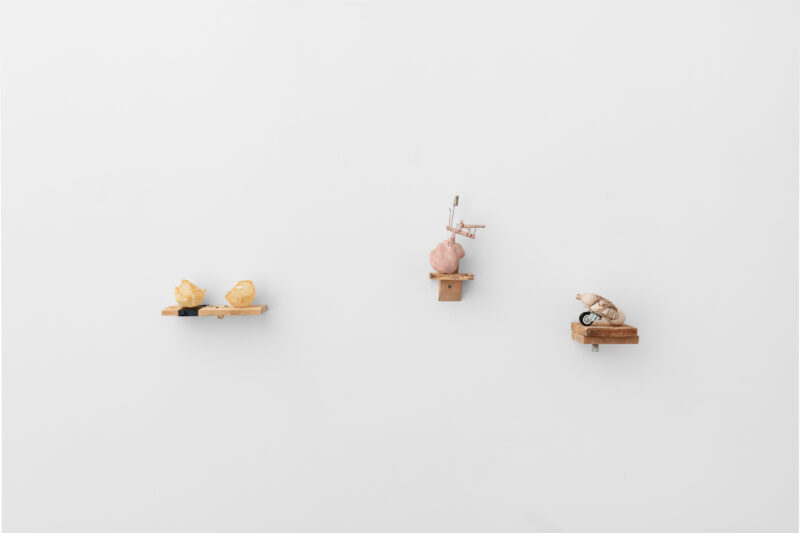 Installation shot from La Belle et La Bête, @ Ashley Saville