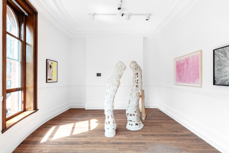 Installation shot from La Belle et La Bête, @ Ashley Saville