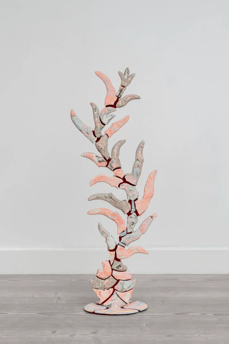 Bea Bonafini, Swallowing Earth, 2022