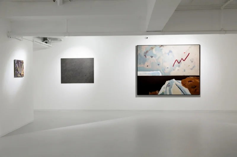 Installation shot from Nature, Abstracted, @ Ben Brown Fine Arts