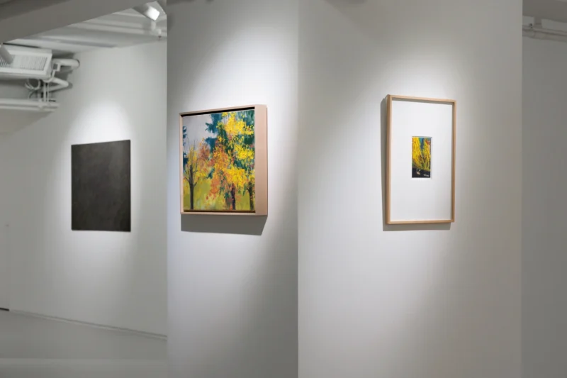 Installation shot from Nature, Abstracted, @ Ben Brown Fine Arts
