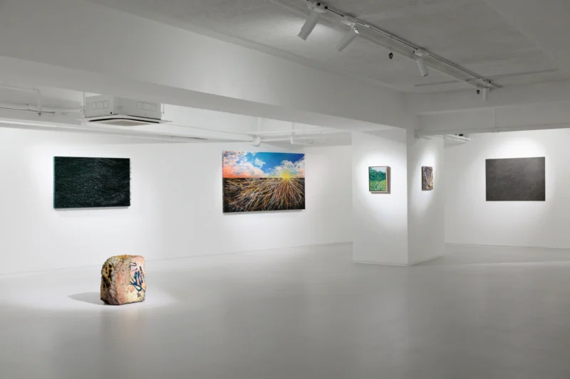 Installation shot from Nature, Abstracted, @ Ben Brown Fine Arts