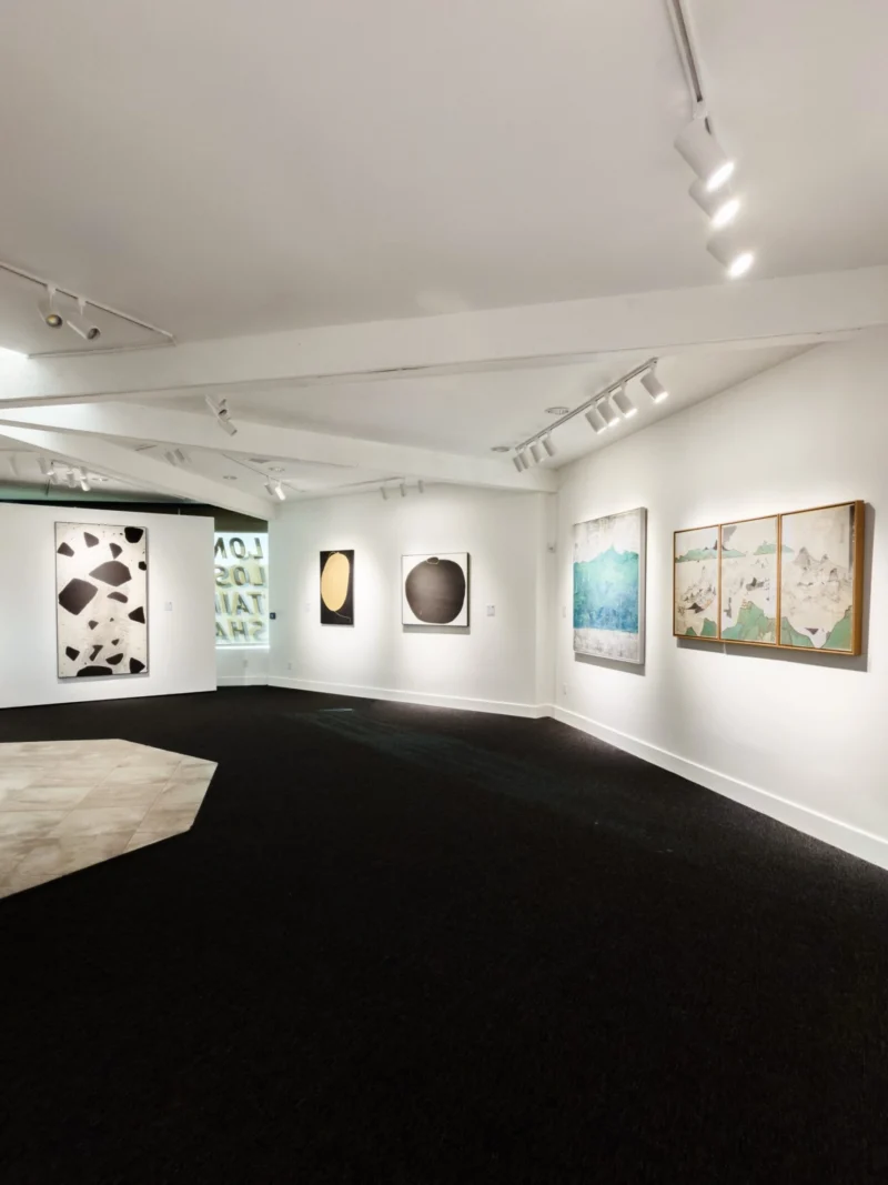 Installation shot from Ink Reborn - 7 Narratives of Contemporary Chinese Ink, @ Bluerider ART