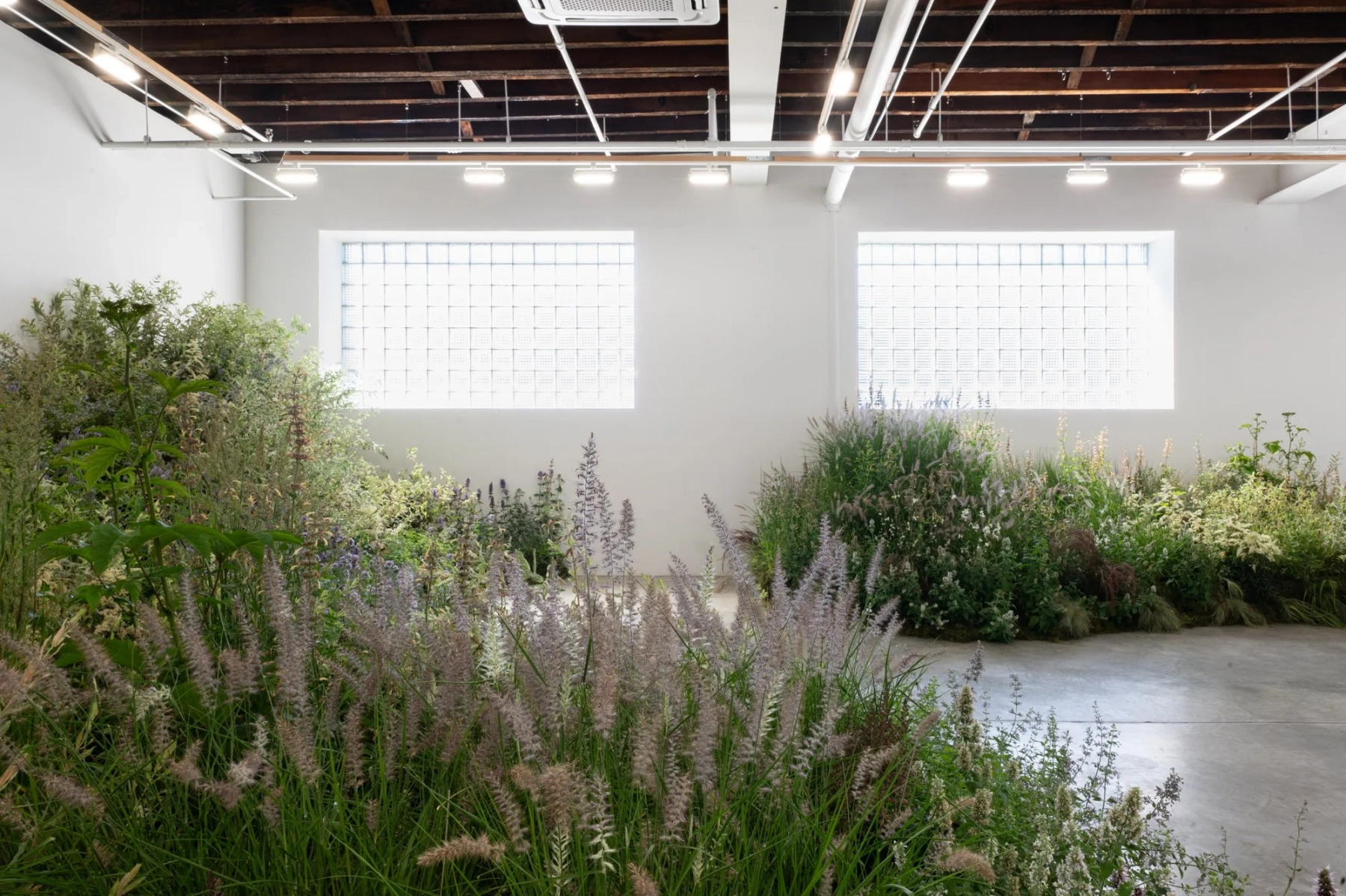 Image for Summer Performance Series 2026, at CARVALHO