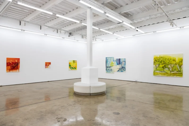 Installation shot from Birhane Worede: Gestures of Presence, @ Circle Art Gallery