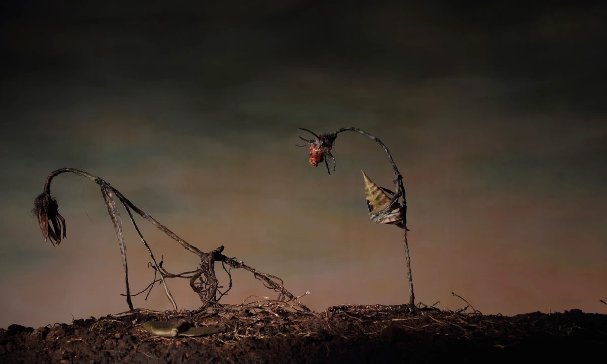 Dana Kavelina, Taki pejzaż (Such a Landscape), 2024