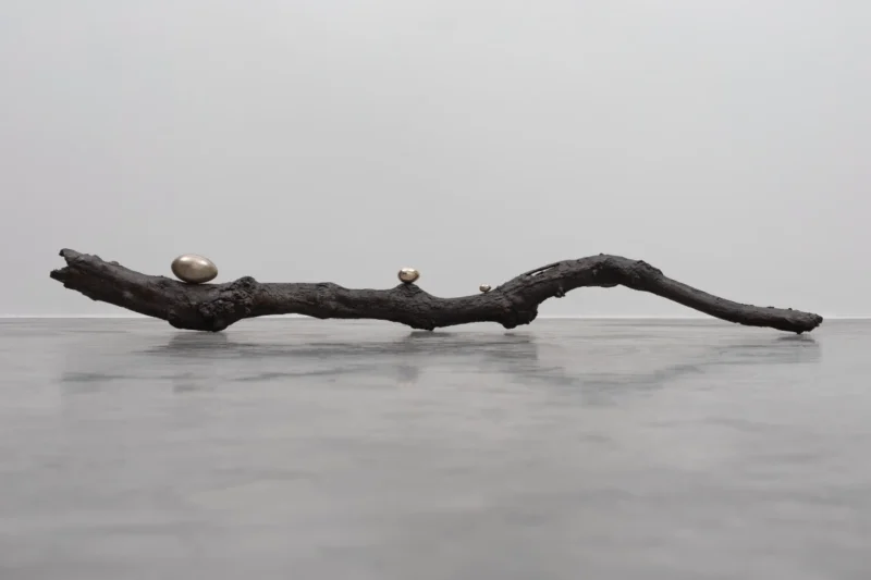 Dorothy Cross, Branch, 2017