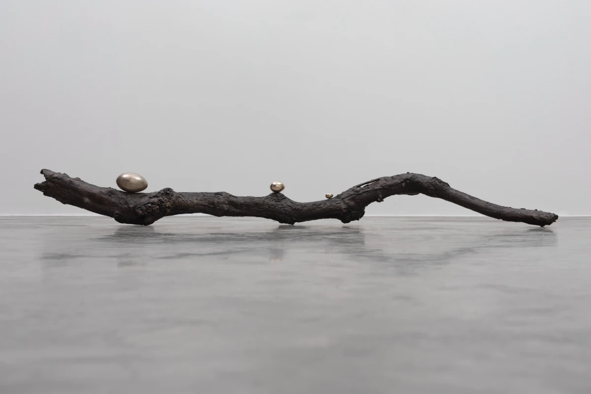 Dorothy Cross, Branch, 2017