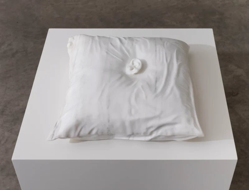 Dorothy Cross, Pillow, 2026
