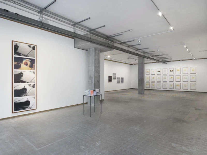 Installation shot from Multiple Narratives, @ Frith Street Gallery