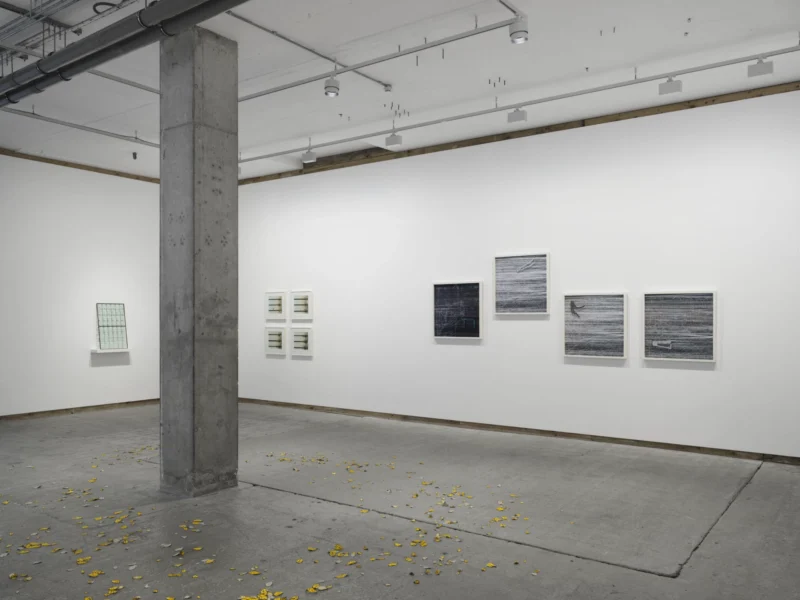 Installation shot from Multiple Narratives, @ Frith Street Gallery