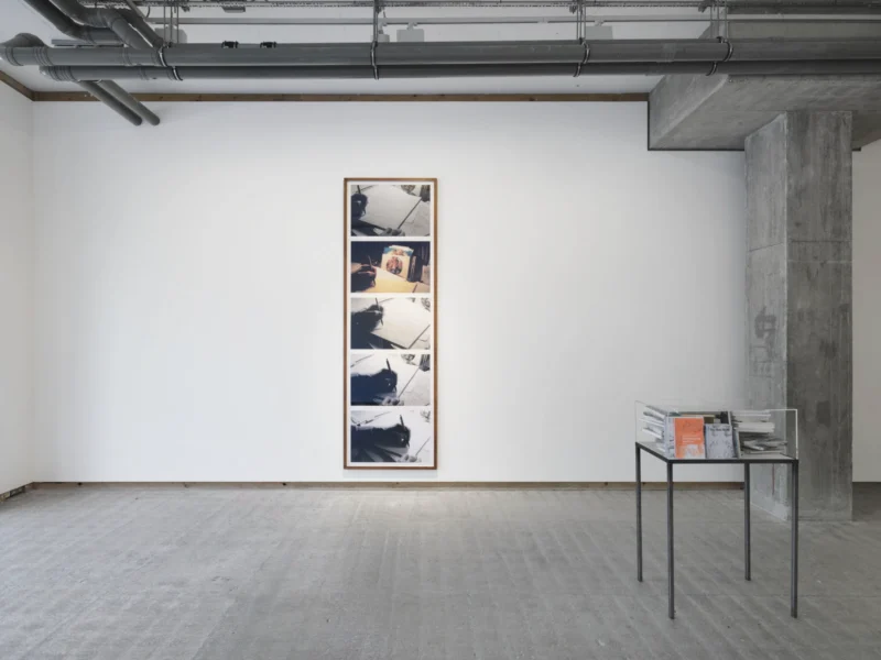 Installation shot from Multiple Narratives, @ Frith Street Gallery