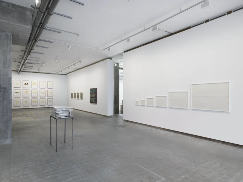 Installation shot from Multiple Narratives, @ Frith Street Gallery