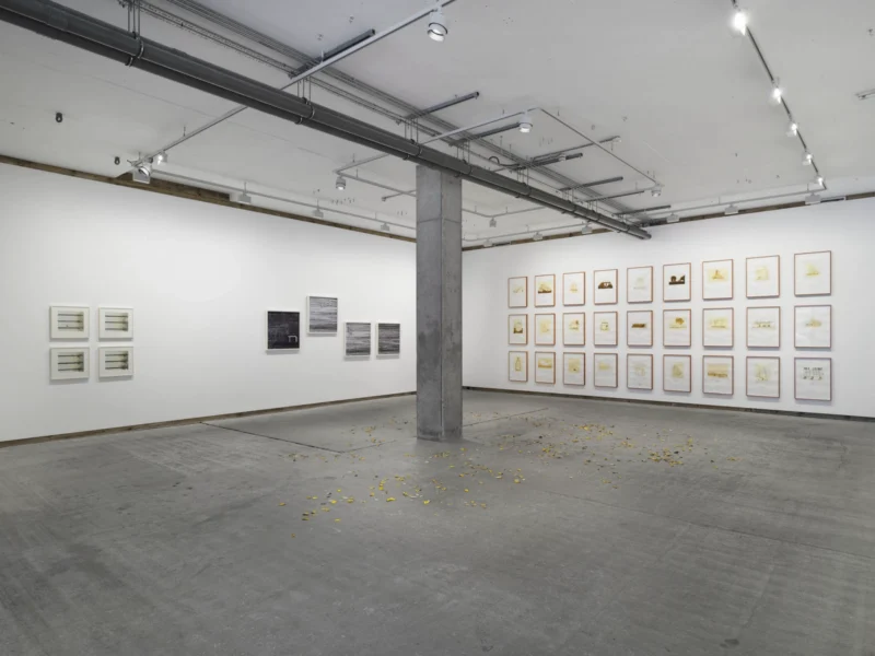 Installation shot from Multiple Narratives, @ Frith Street Gallery