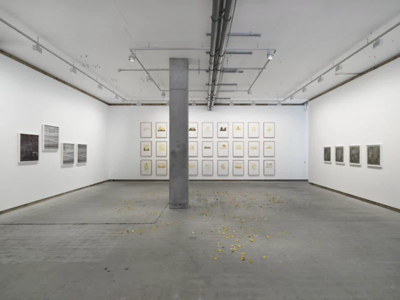 Installation shot from Multiple Narratives, @ Frith Street Gallery
