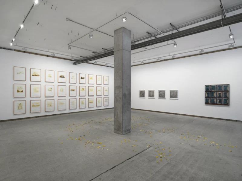 Installation shot from Multiple Narratives, @ Frith Street Gallery