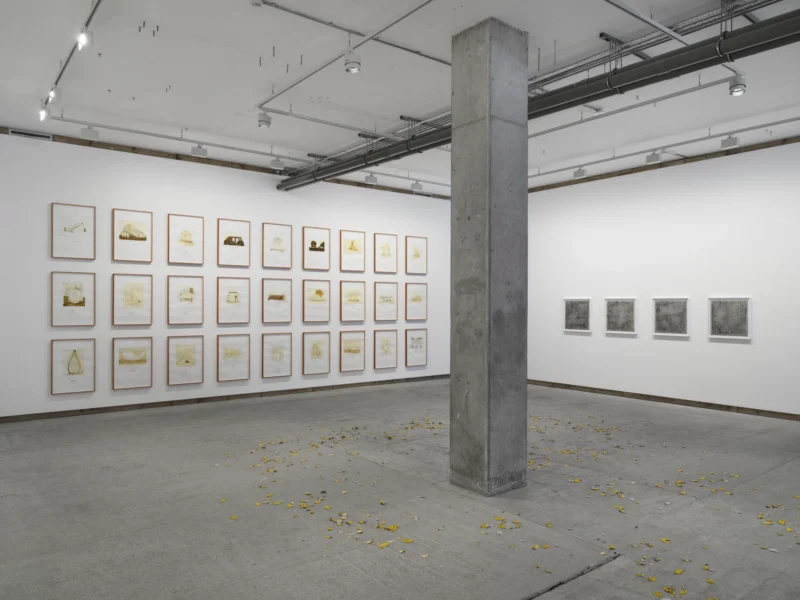 Installation shot from Multiple Narratives, @ Frith Street Gallery