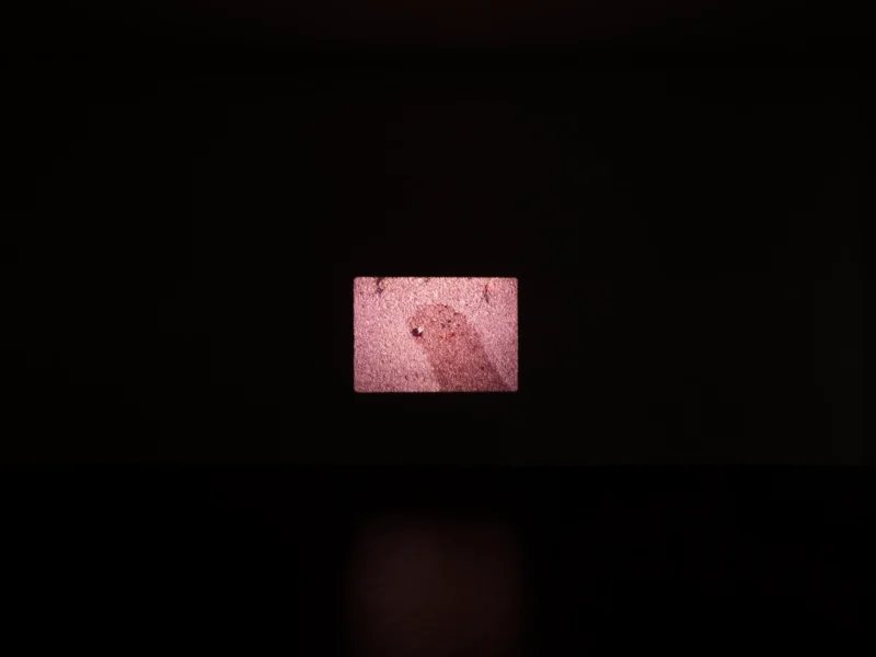 Installation shot from Yuji Agematsu: Marseille 1994, @ Galerie Buchholz