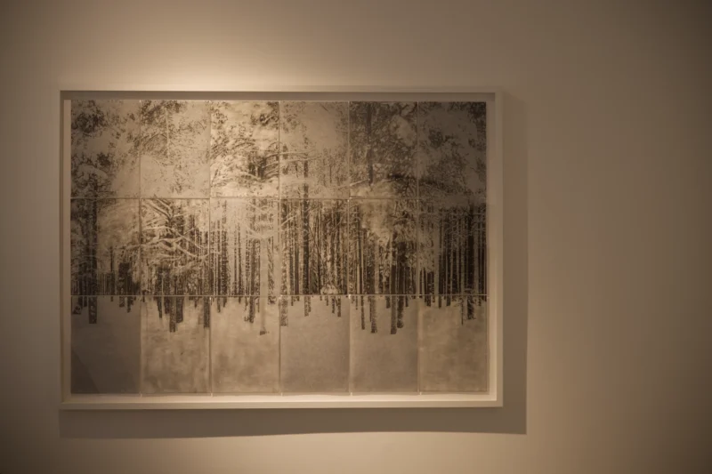 Installation shot from Serge Izquierdo, Vincent Bousserez: Territoires invisibles, @ Galerie Esther Woerdehoff