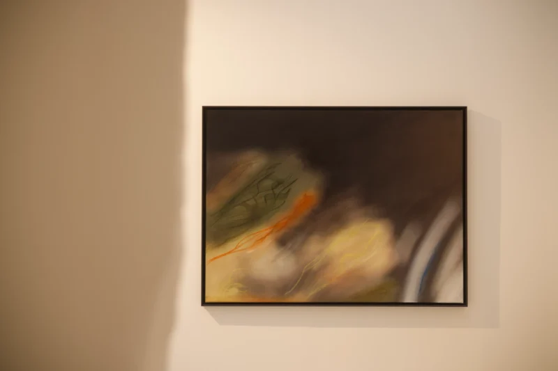 Installation shot from Serge Izquierdo, Vincent Bousserez: Territoires invisibles, @ Galerie Esther Woerdehoff