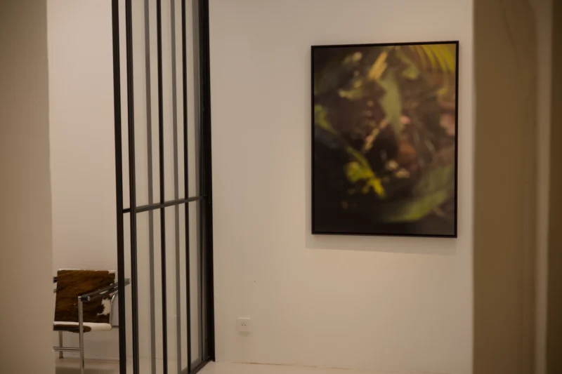 Installation shot from Serge Izquierdo, Vincent Bousserez: Territoires invisibles, @ Galerie Esther Woerdehoff