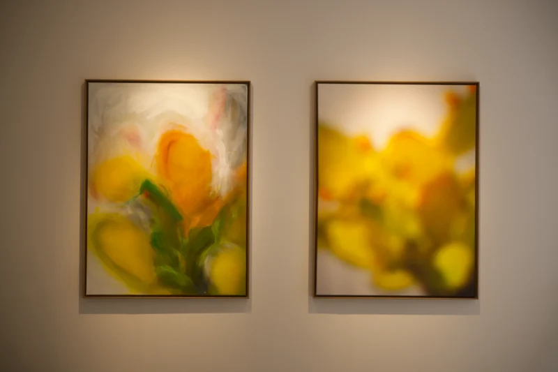 Installation shot from Serge Izquierdo, Vincent Bousserez: Territoires invisibles, @ Galerie Esther Woerdehoff