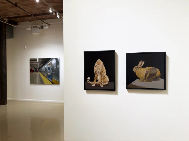 Installation shot from Summer Group Show. Part II, @ Gallery Henoch
