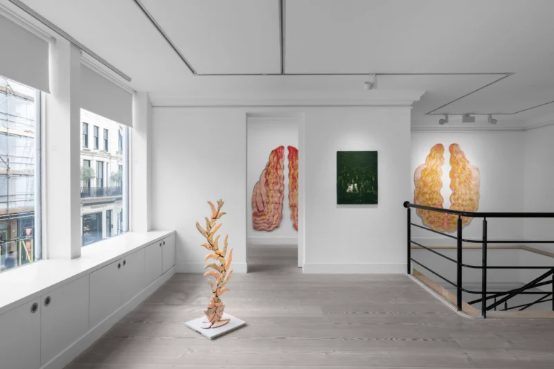Installation shot from Interweave, @ Gazelli Art House