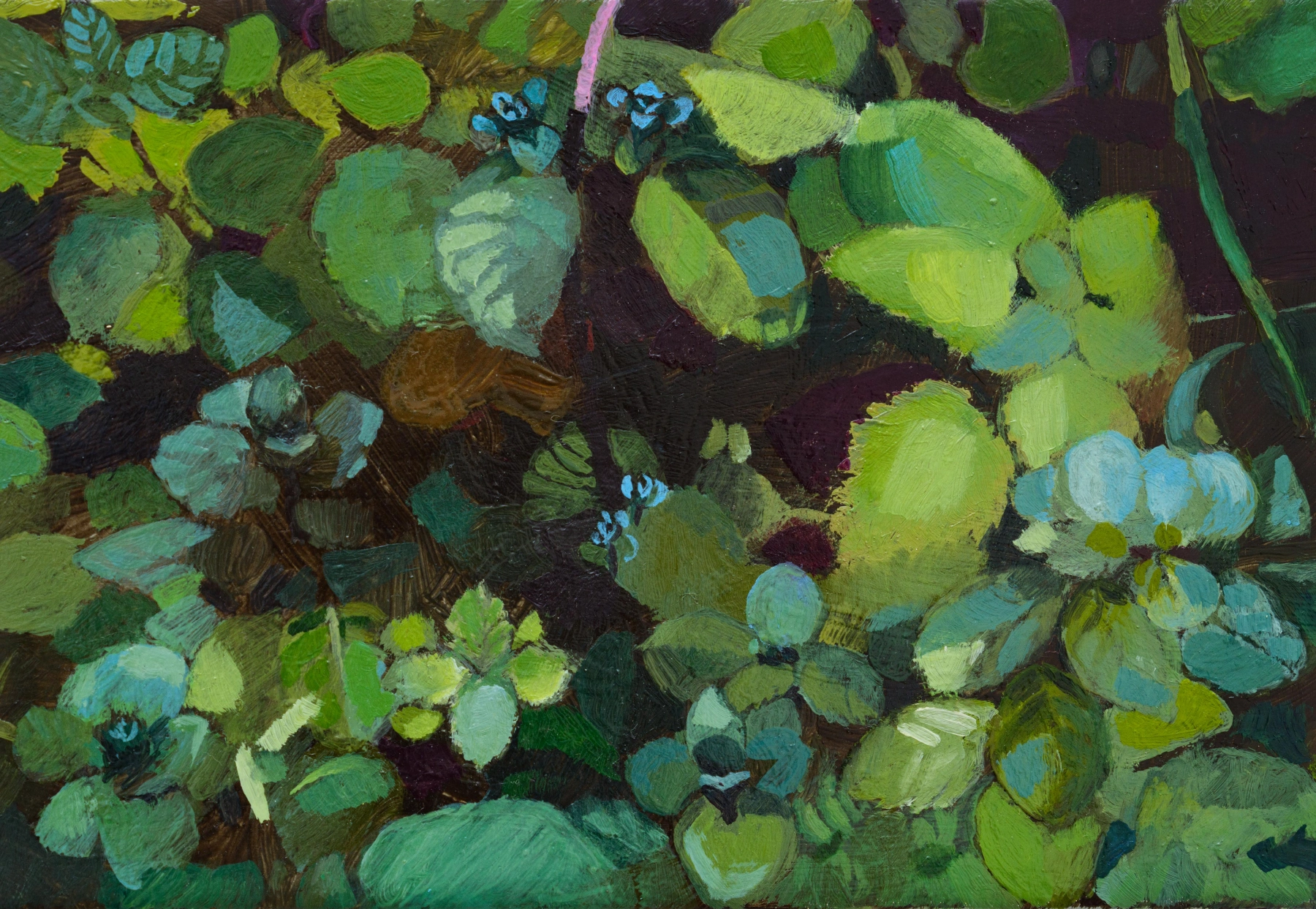 Image for Gianmarco Biele: storie del giardino, at Alfonso Artiaco