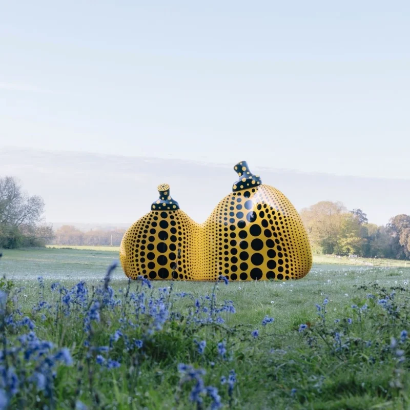 Installation shot from Art in the Landscape, @ Goodwood Art Foundation