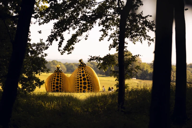 Installation shot from Art in the Landscape, @ Goodwood Art Foundation