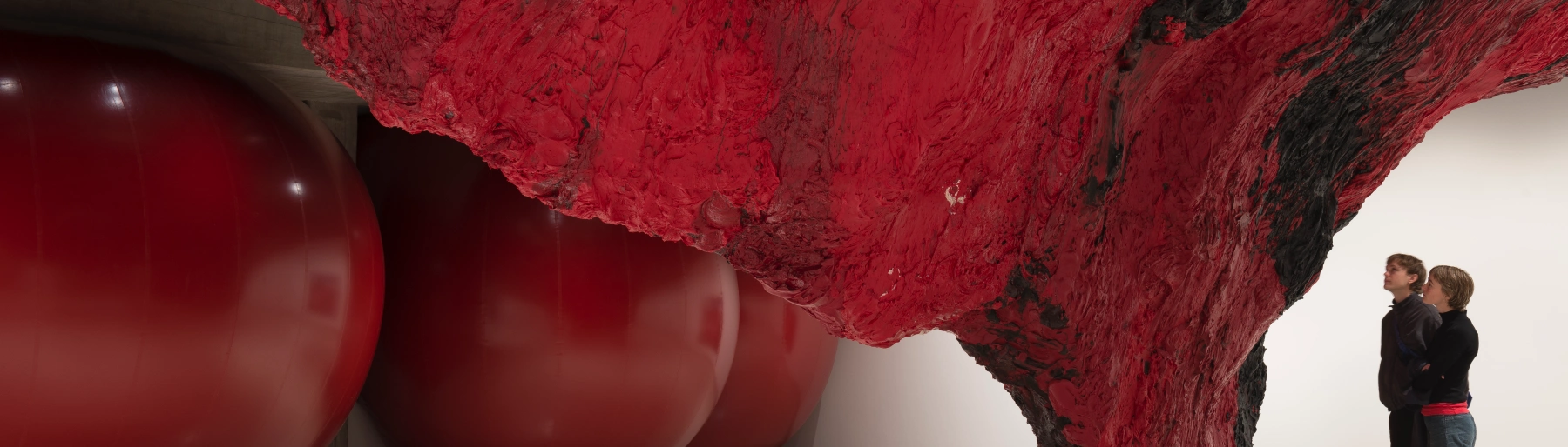 Anish Kapoor cover