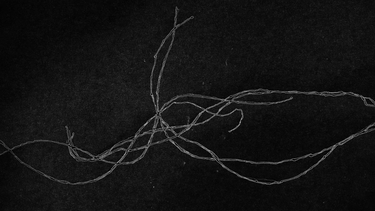 Jaki Irvine, SPLINE_SKETCH_WIND, 2026