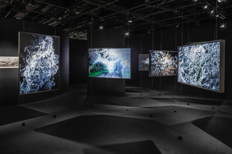 Installation shot from Kyotographie: Kawada Kikuji x Iwane Ai, @ Japan House London