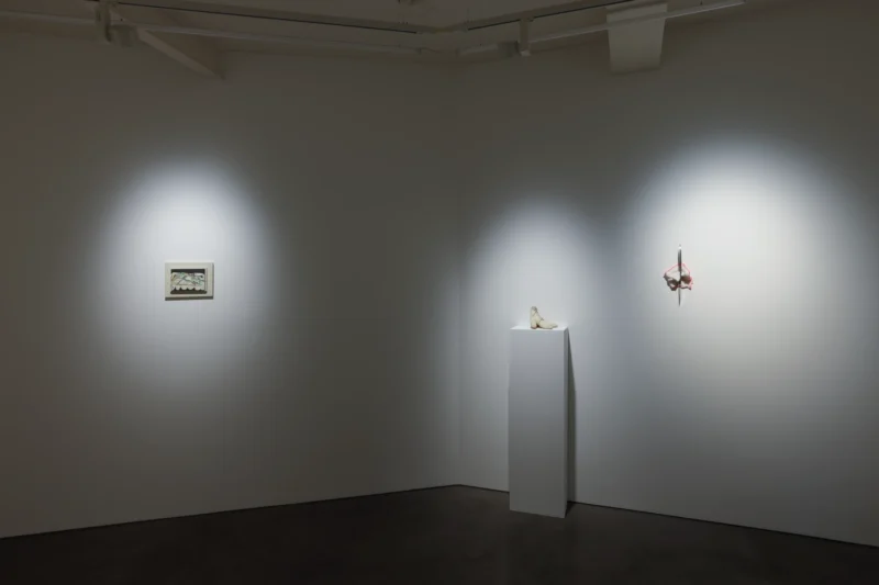 Installation shot from Eat Like You Care, @ Jenxuan Gallery