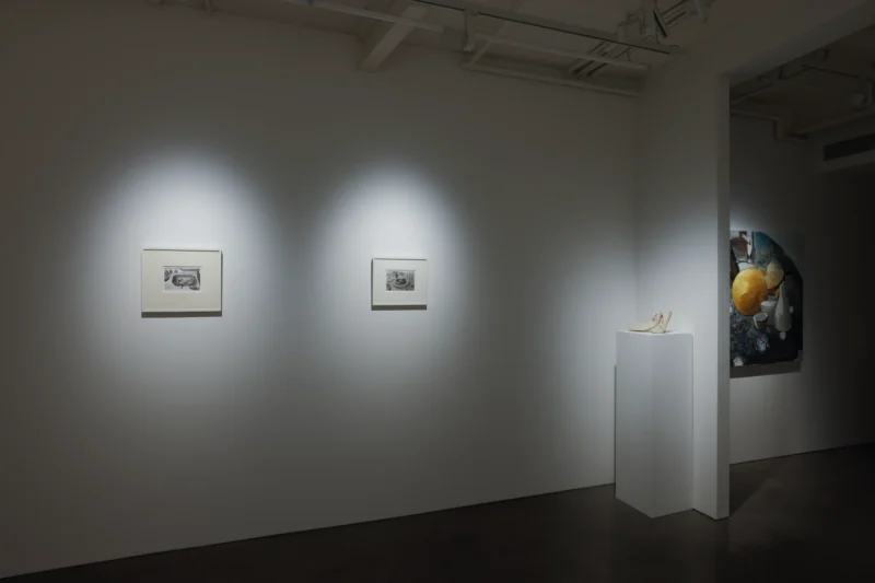 Installation shot from Eat Like You Care, @ Jenxuan Gallery