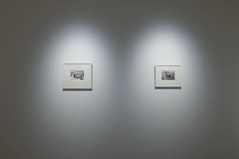 Installation shot from Eat Like You Care, @ Jenxuan Gallery