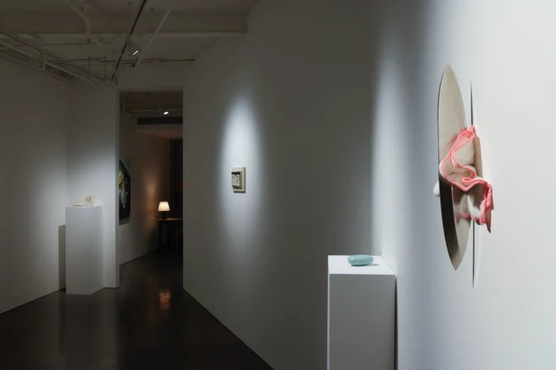 Installation shot from Eat Like You Care, @ Jenxuan Gallery