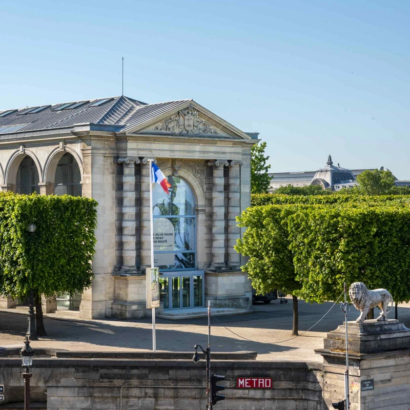 Image for Fragile Beauty, at Jeu de Paume