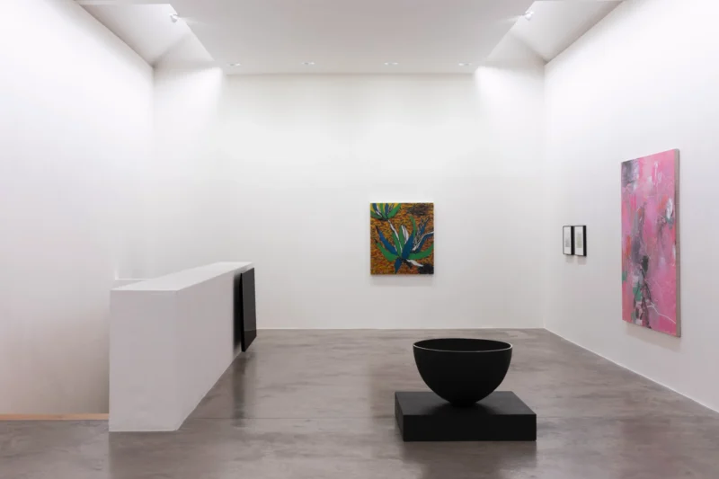 Installation shot from Summer in Dublin, @ Kerlin Gallery
