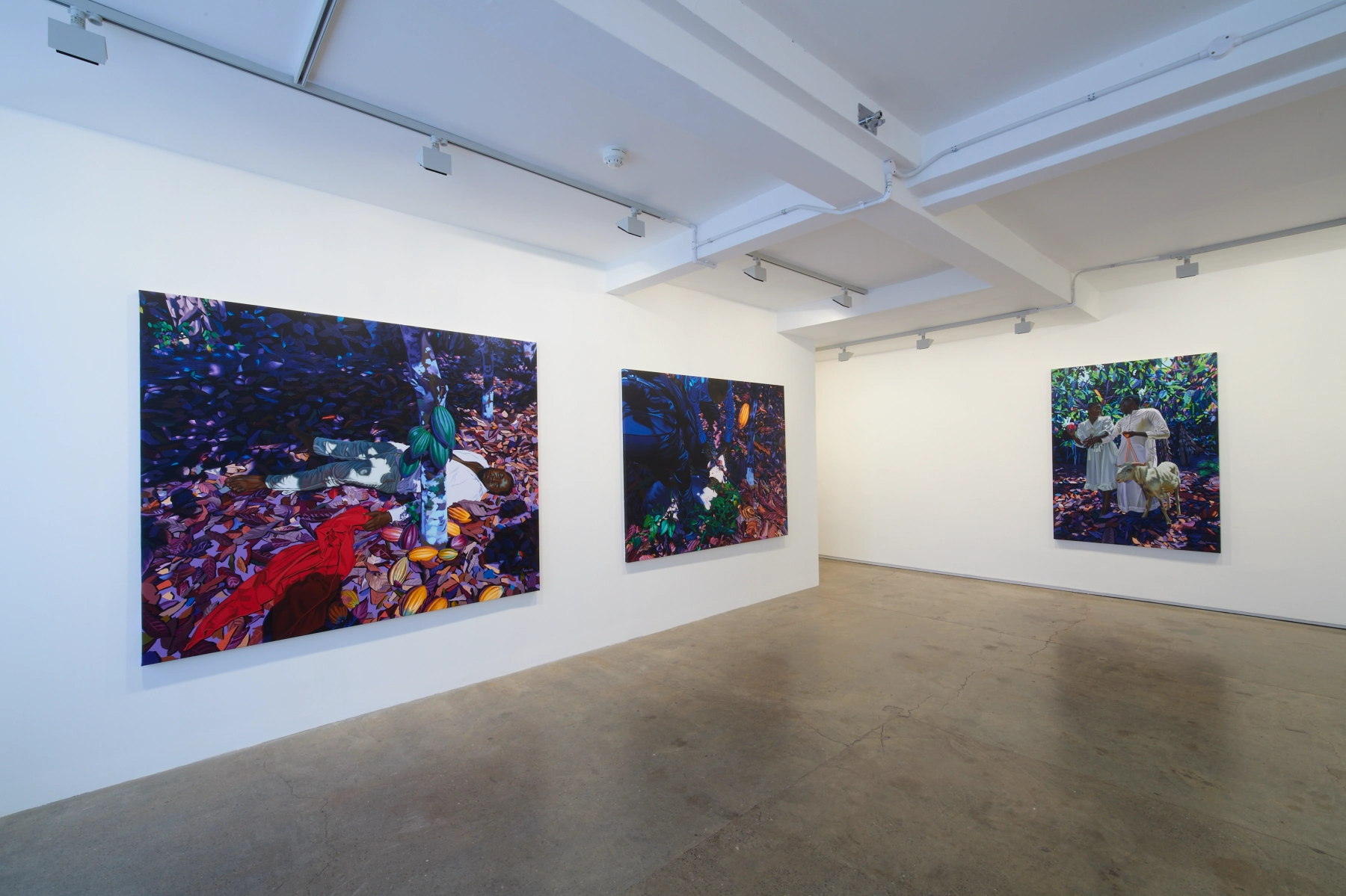 Image for Marc Padeu: Memento Vivere, at Larkin Durey
